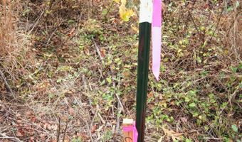 RIDGE RD lot 1, Arvonia, VA 23004