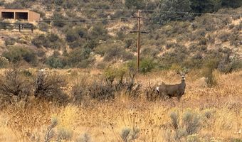 NKA Cemetery Rd, Bickleton, WA 99322