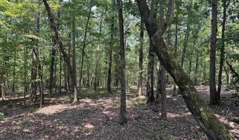 305 STONE RIDGE Trl, Anniston, AL 36207