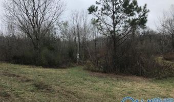 6777 Hwy 207, Anderson, AL 35610