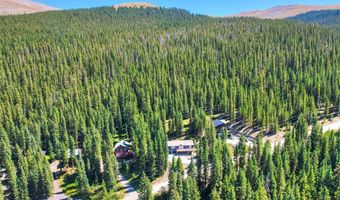 476 COUNTY ROAD 674, Breckenridge, CO 80424