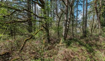 Valley View Dr NW, Albany, OR 97321