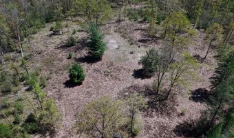 La Grant Road, Alger, MI 48610
