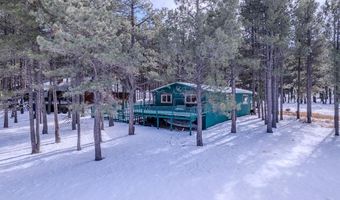 40 Via Del Rey, Angel Fire, NM 87710