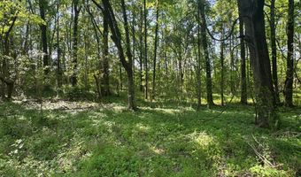 0001 Old Highway 471, Brandon, MS 39042