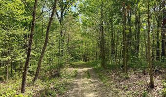 1271 A Tunnel Ridge Rd, Argillite, KY 41121