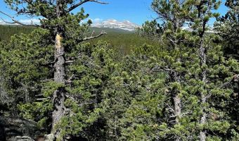 0 Pine Cone Cir Lot 46, Allenspark, CO 80540