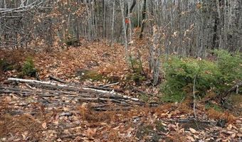 M5/L27 Pond Road, Abbot, ME 04406