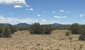 59 Rocky Rabbit Rd, Ash Fork, AZ 86320