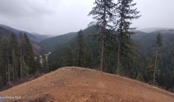 480 Dunn Peak Rd, Avery, ID 83802