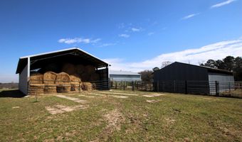 17133 Thompson Farm Rd, Alexander, AR 72002