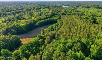 425 Rose Hill Rd, Bentonia, MS 39040