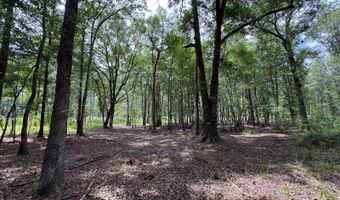 Fox Paw Court, Branchville, SC 29432