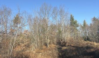 Baldwin Rd Route 11 lot 4, Baldwin, ME 04024