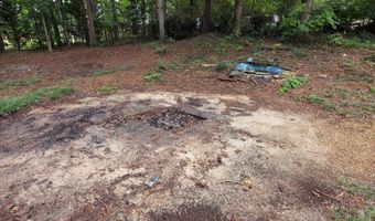 1311 Hickory Ridge Trl, Auburn, GA 30011