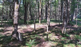 0 COUNTY ROUTE 41, Afton, NY 13730