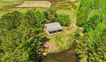 Alligator Road, Bamberg, SC 29843