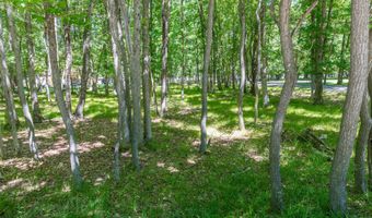 Mountain Road, Albrightsville, PA 18210