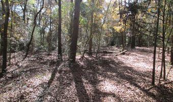 Hillside Drive, Americus, GA 31709