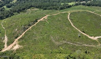 00 Ebenzer Church Rd, Bassfield, MS 39421