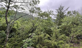 DOWNES ROAD, Bergman, AR 72615
