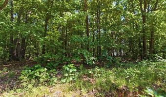 210 County Road 320, Alton, MO 65606