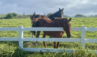 56-2891 HALEAKALA VIEW Pl, Hawi, HI 96719