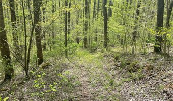 0 Martins Creek Rd, Barnardsville, NC 28709