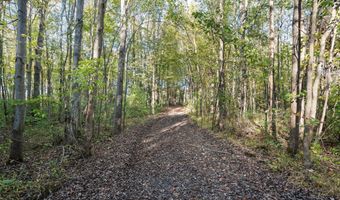 VL 61acres 34th, Allegan, MI 49010