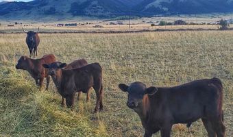 2733 Mt Highway 69, Boulder, MT 59632