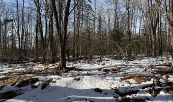 County Hwy G lot 2, Winter, WI 54896