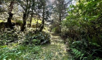 95629 CAPE FERRELO Rd, Brookings, OR 97415