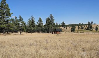 67 TIMBER Ln, Bickleton, WA 99322