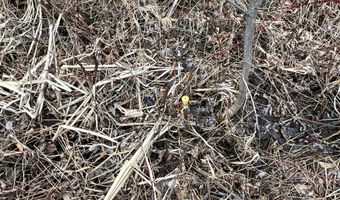 011-010 2 Monument Rd, Amity, ME 04471