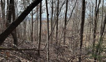 Highway 105, Baldwin, GA 30511