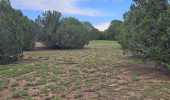 Birdwing Lane, Clay Springs, AZ 85923