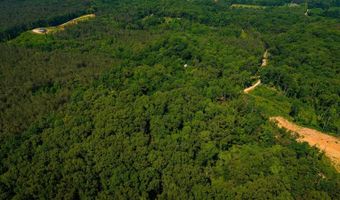 0 County Road 217, Blue Springs, MS 38828