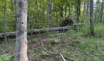 Tract 2 Dunaway Road, Beattyville, KY 41311