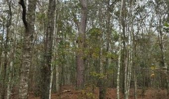 4814 NW 244 Ave, Alachua, FL 32615