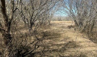179 County Road 1461 Lot 9, Alice, TX 78332