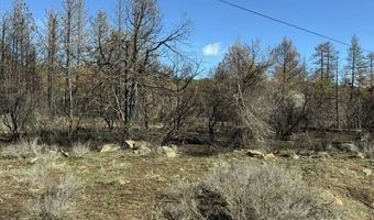 Hummingbird Drive, Bonanza, OR 97623