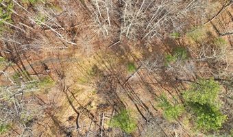 2701 Roses Branch Rd, Bakersville, NC 28705