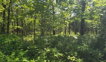 TR34 35 & 36 TRAIL RIDGE ROAD, Albion, OK 74571