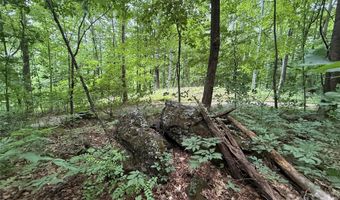 9999 Countryside Est, Barnardsville, NC 28709