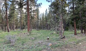 Red Deer Lane Lot 2, Bonanza, OR 97623