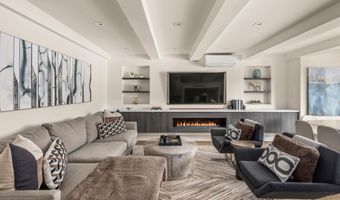 1039 E Cooper Ave 20, Aspen, CO 81611