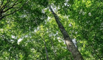 2926 Bryant Ridge Rd, Baxter, TN 38544