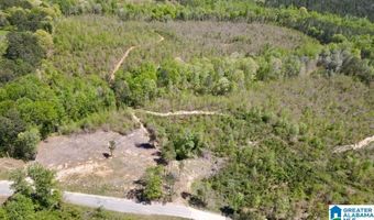 LANDFILL ROAD lot 1, Ashland, AL 36251