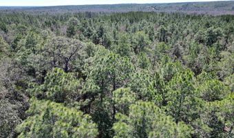 Robinsonville Road, Atmore, AL 36502