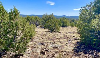 74 County Road 8056, Concho, AZ 85924